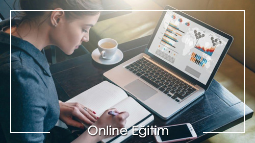 online eğitim, online danışmanlık, online yönetici koçu